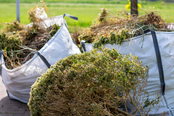 Best Appliance Removal Near Me  in Wellman, IA