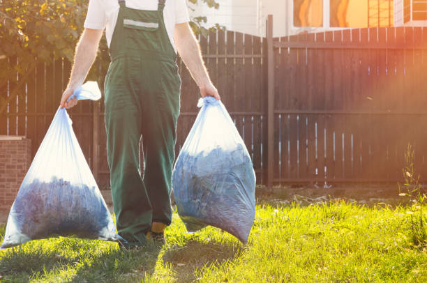 Best Professional Junk Removal  in Wellman, IA